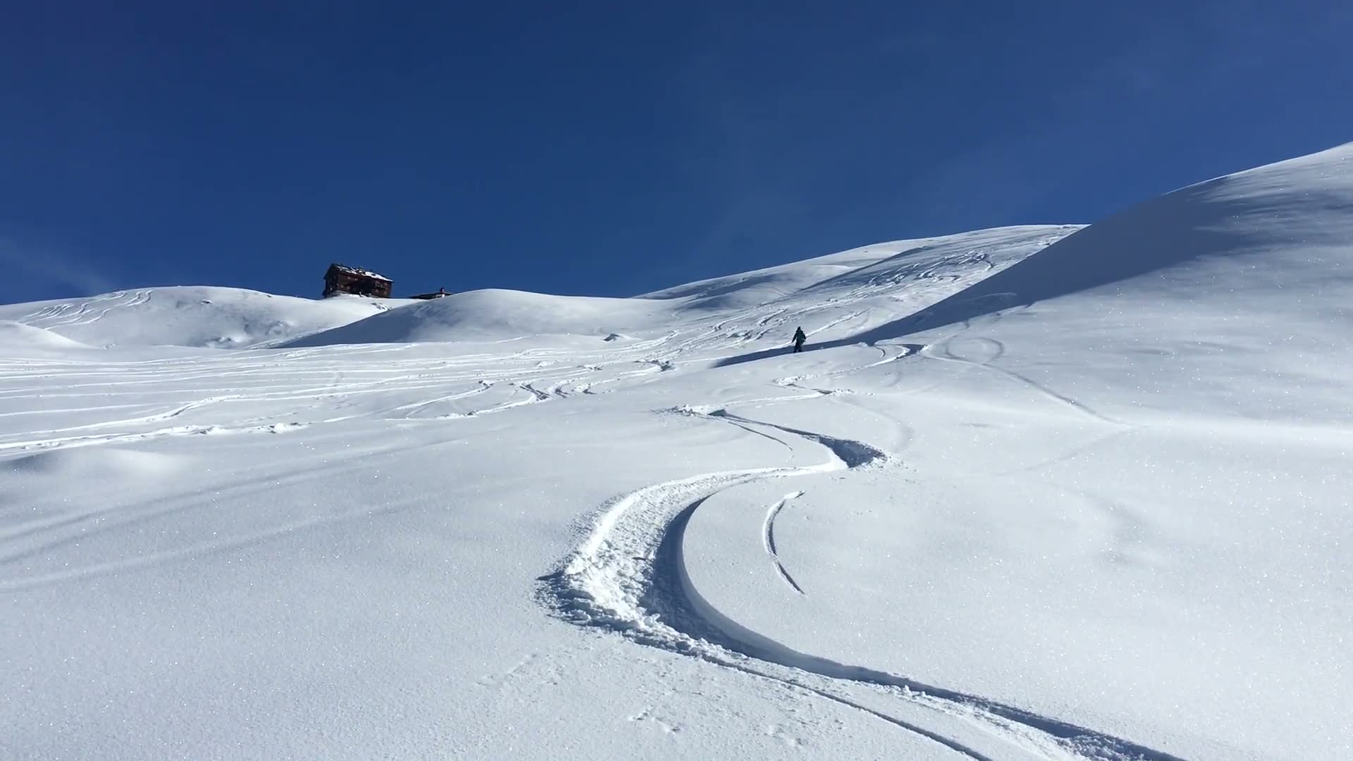 Fresh tracks in powder snow, a skier drawing his line